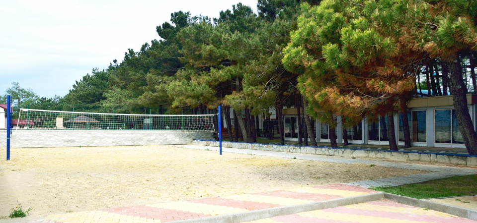 Волейбольная площадка